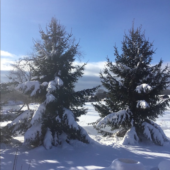 Meet your Posher, Linda - Picture 1 of 1